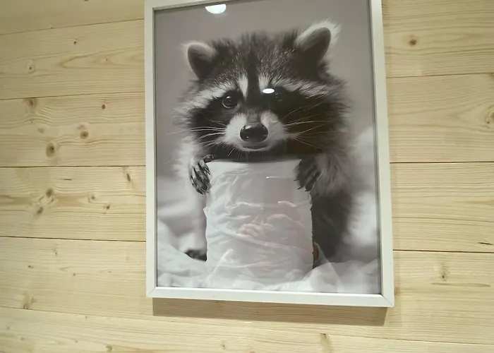 Appartamento 4 Personnes - Cosy à La Montagne Cauterets